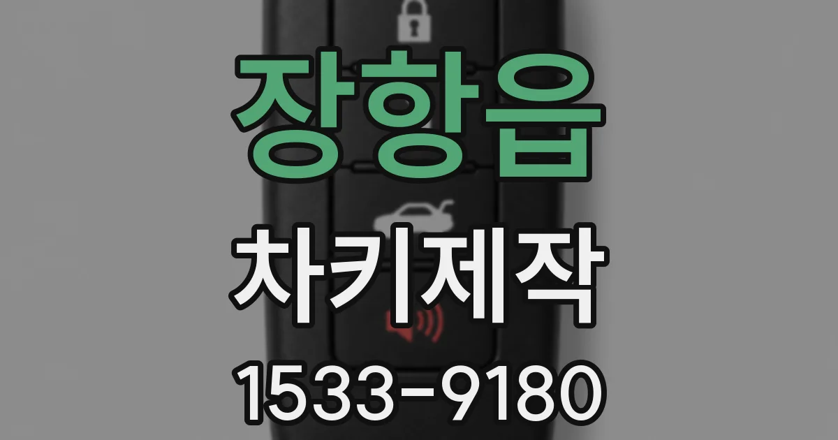 장항읍 차키제작