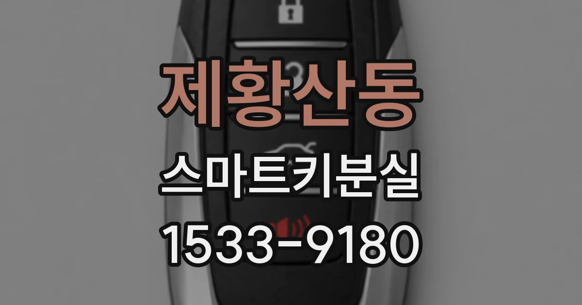 제황산동 스마트키분실