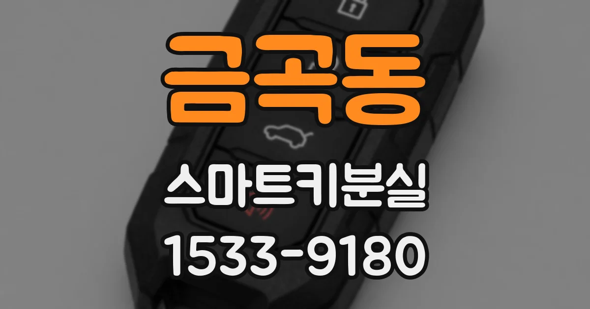 금곡동 스마트키분실