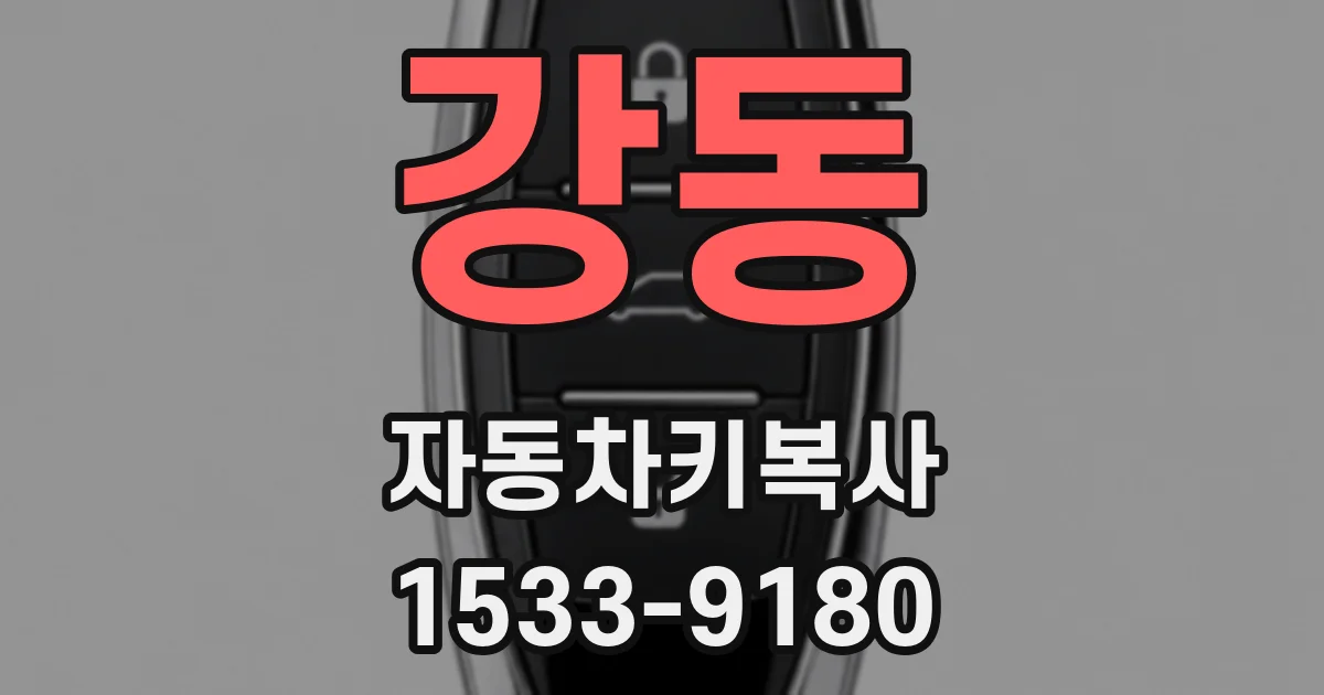 강동 자동차키복사
