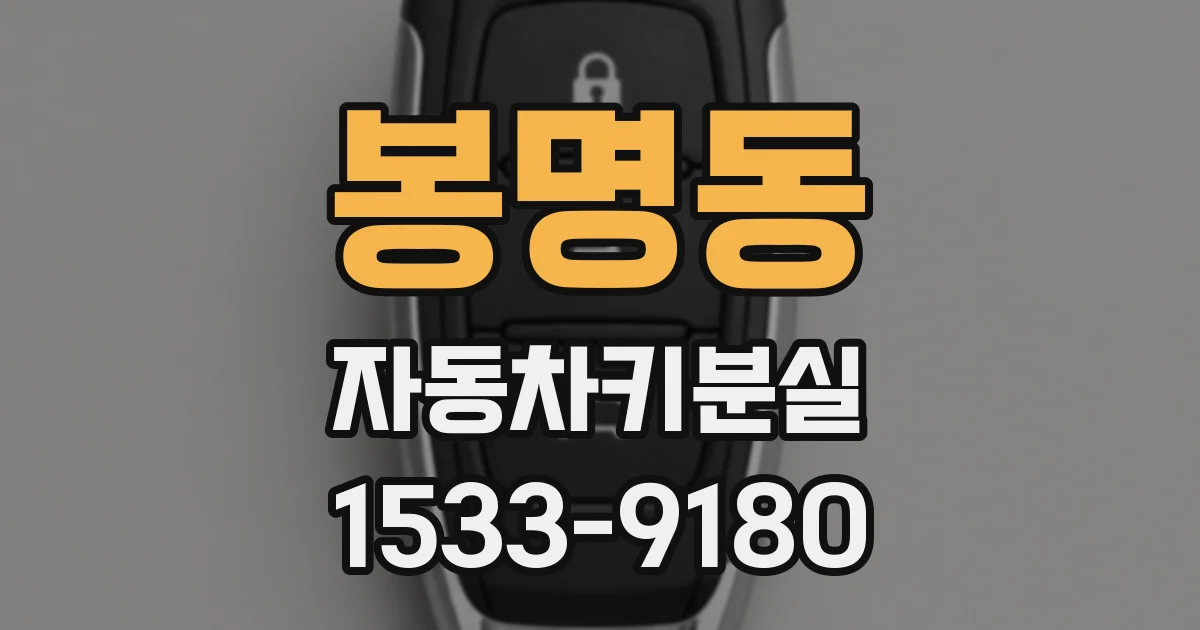봉명동 자동차키분실