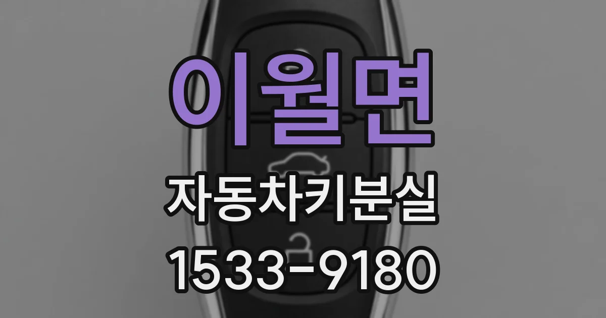이월면 자동차키분실