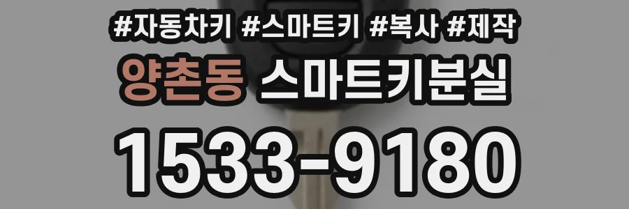 양촌동 스마트키분실