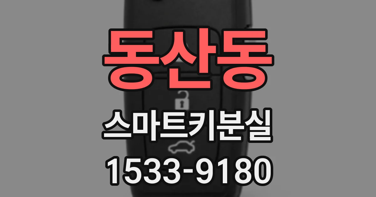 동산동 스마트키분실