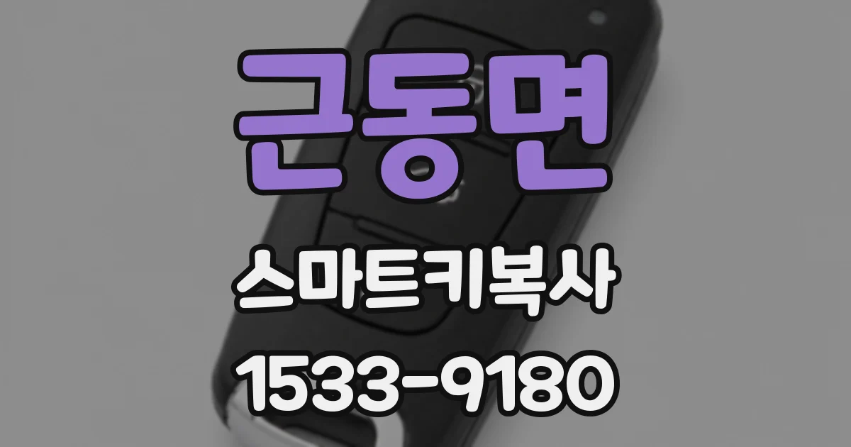 근동면 스마트키복사
