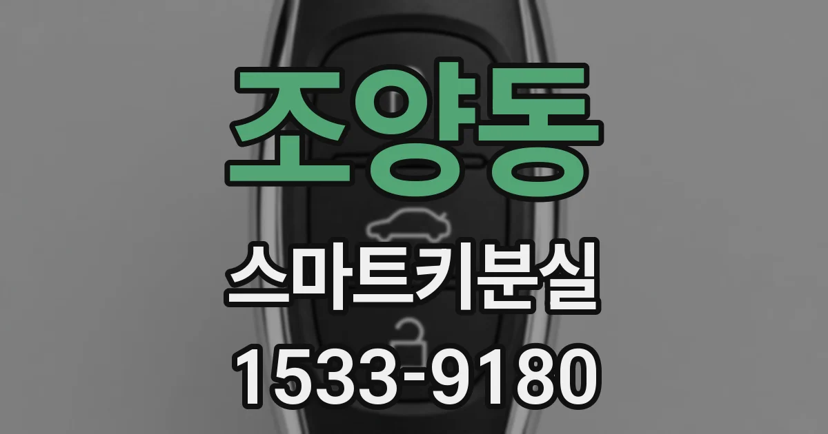 조양동 스마트키분실