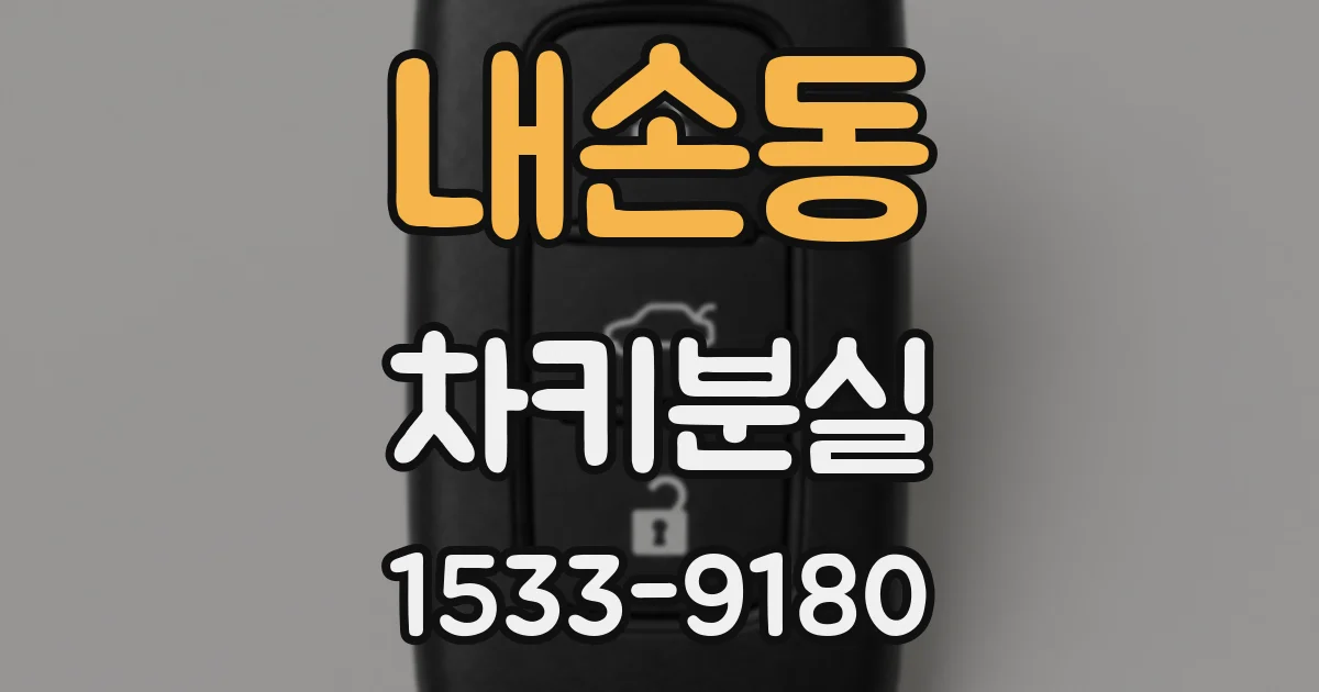 내손동 차키분실