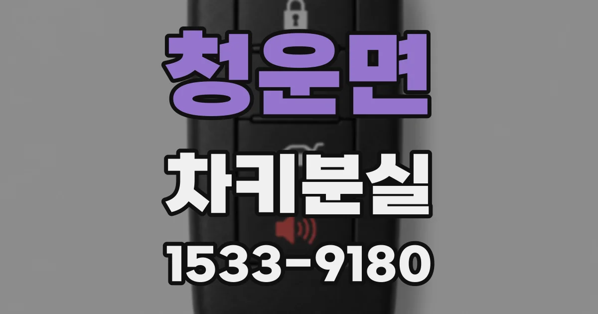청운면 차키분실