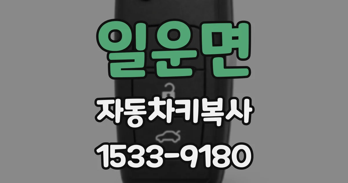 일운면 자동차키복사