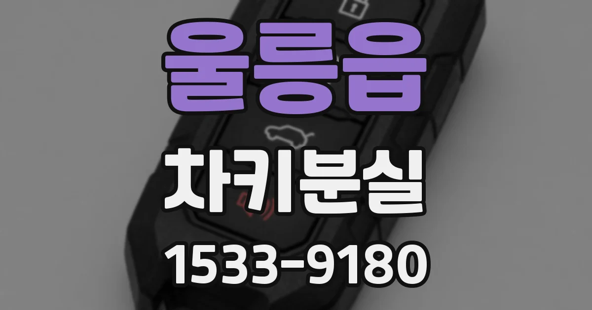 울릉읍 차키분실
