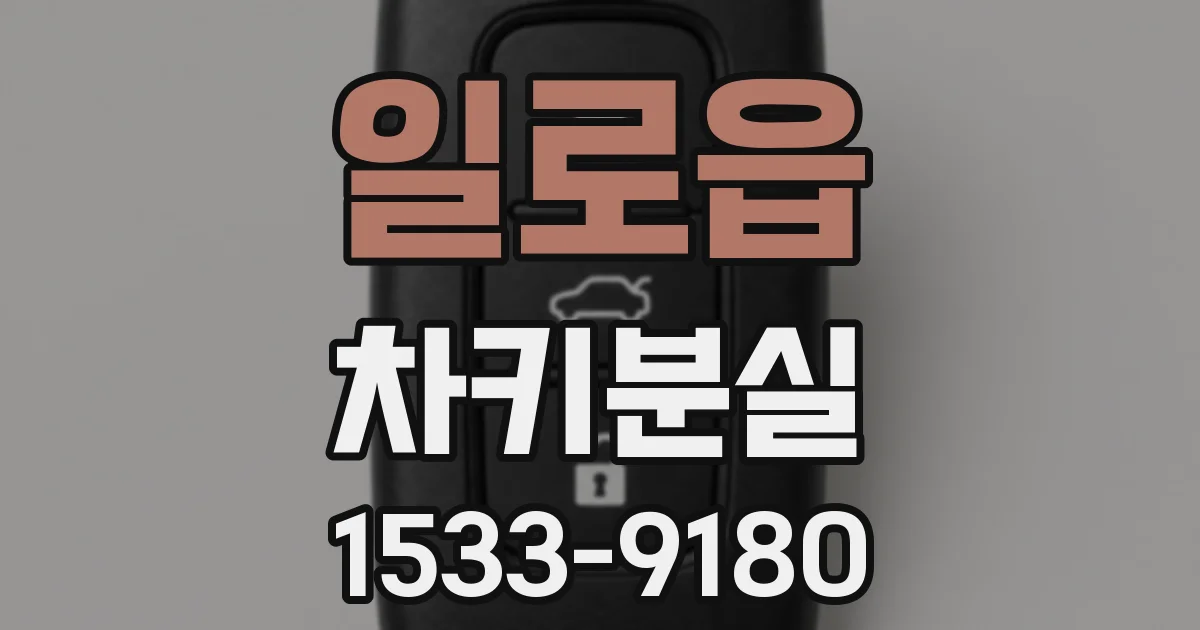 일로읍 차키분실
