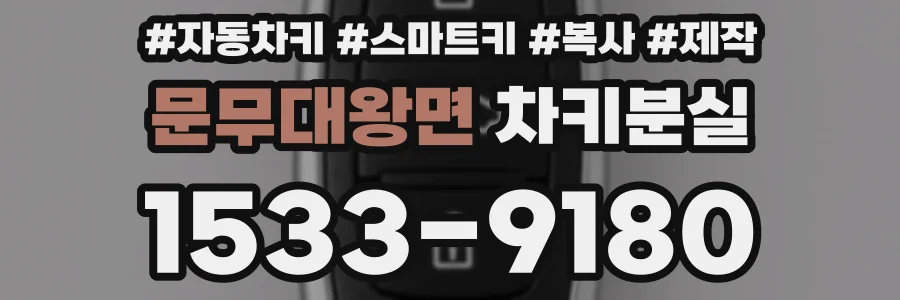문무대왕면 차키분실