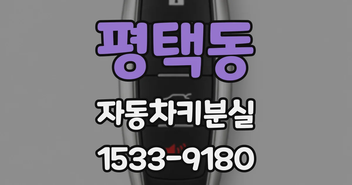 평택동 자동차키분실