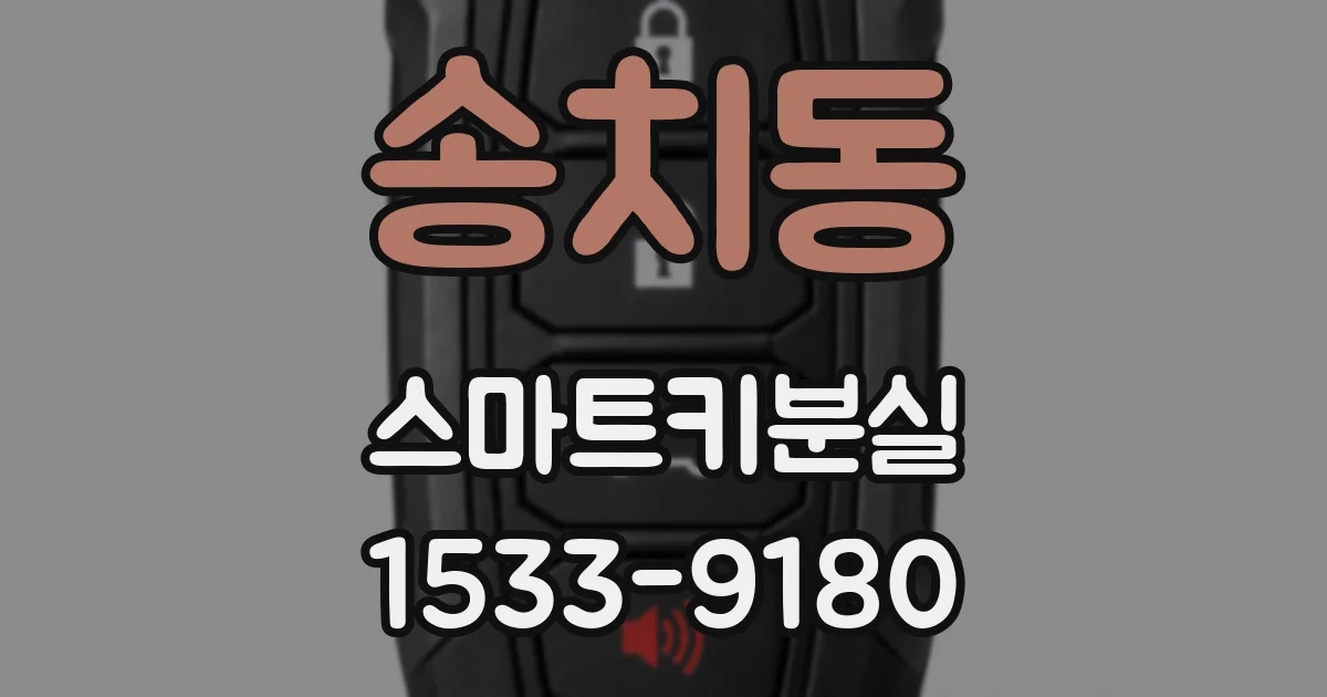 송치동 스마트키분실