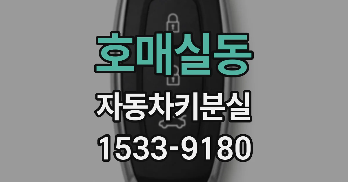 호매실동 자동차키분실