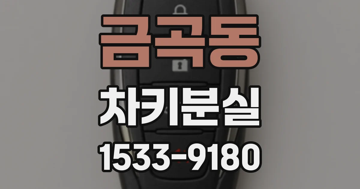 금곡동 차키분실