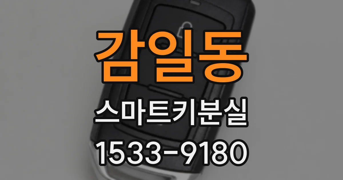 감일동 스마트키분실