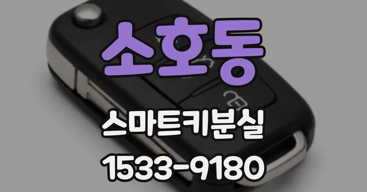 소호동 스마트키분실
