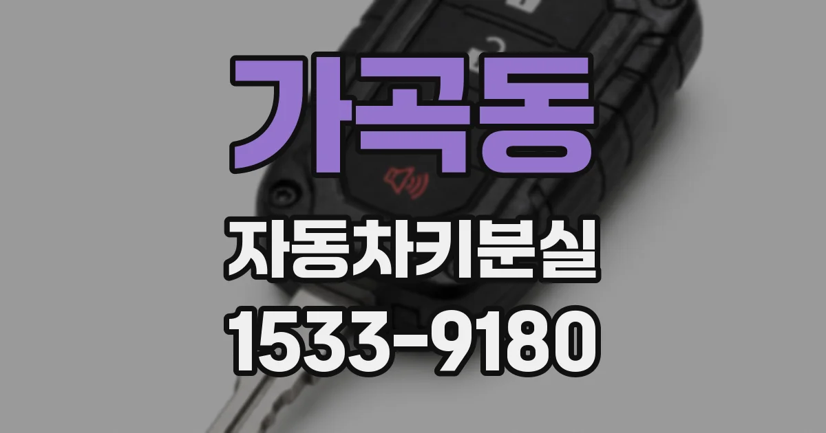 가곡동 자동차키분실