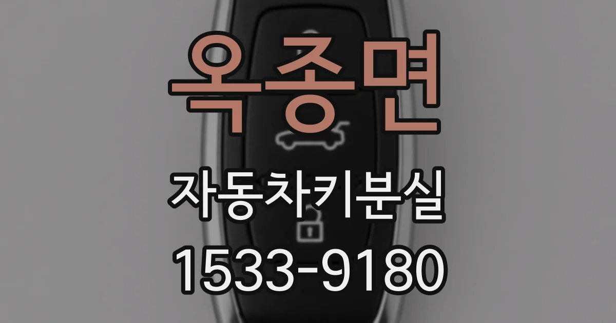 옥종면 자동차키분실