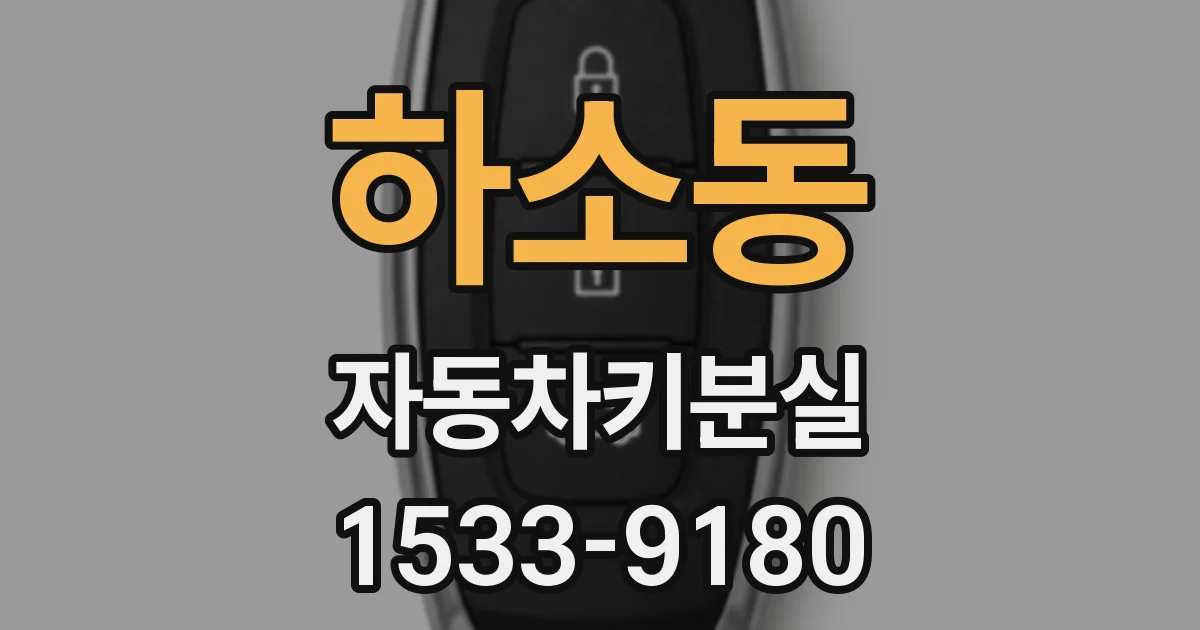 하소동 자동차키분실
