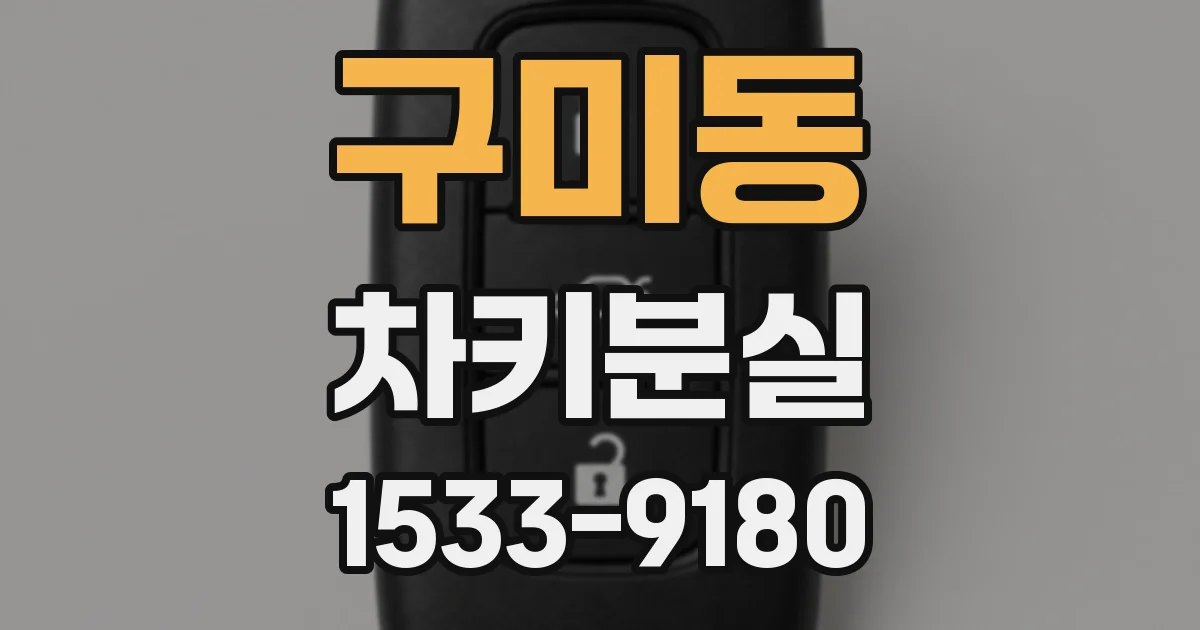 구미동 차키분실