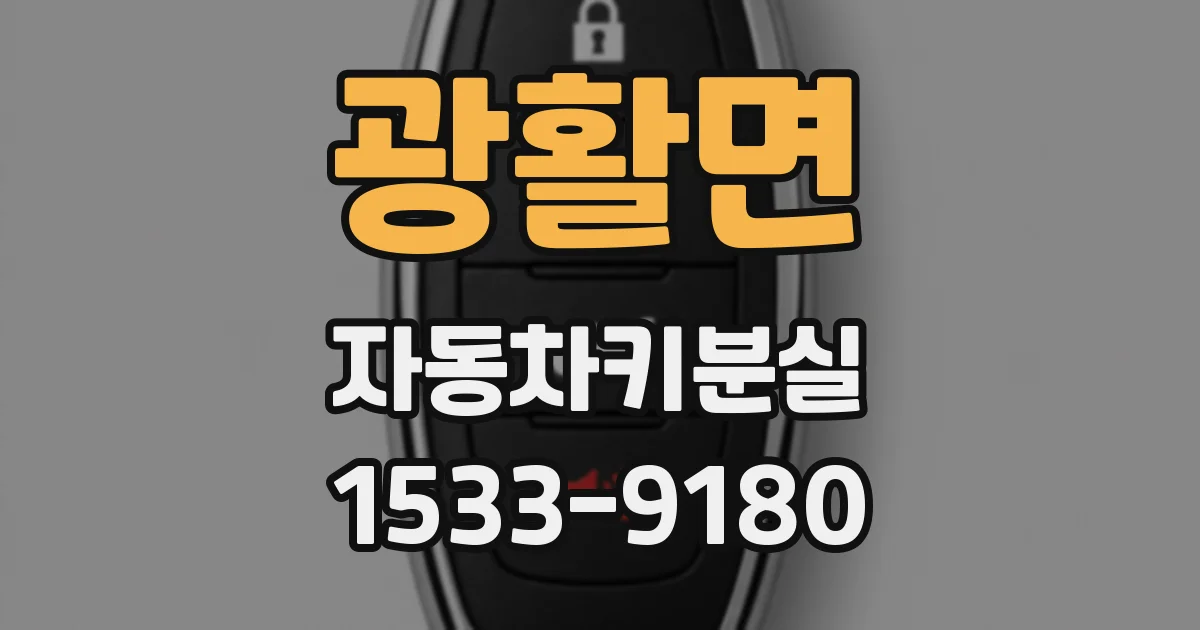 광활면 자동차키분실