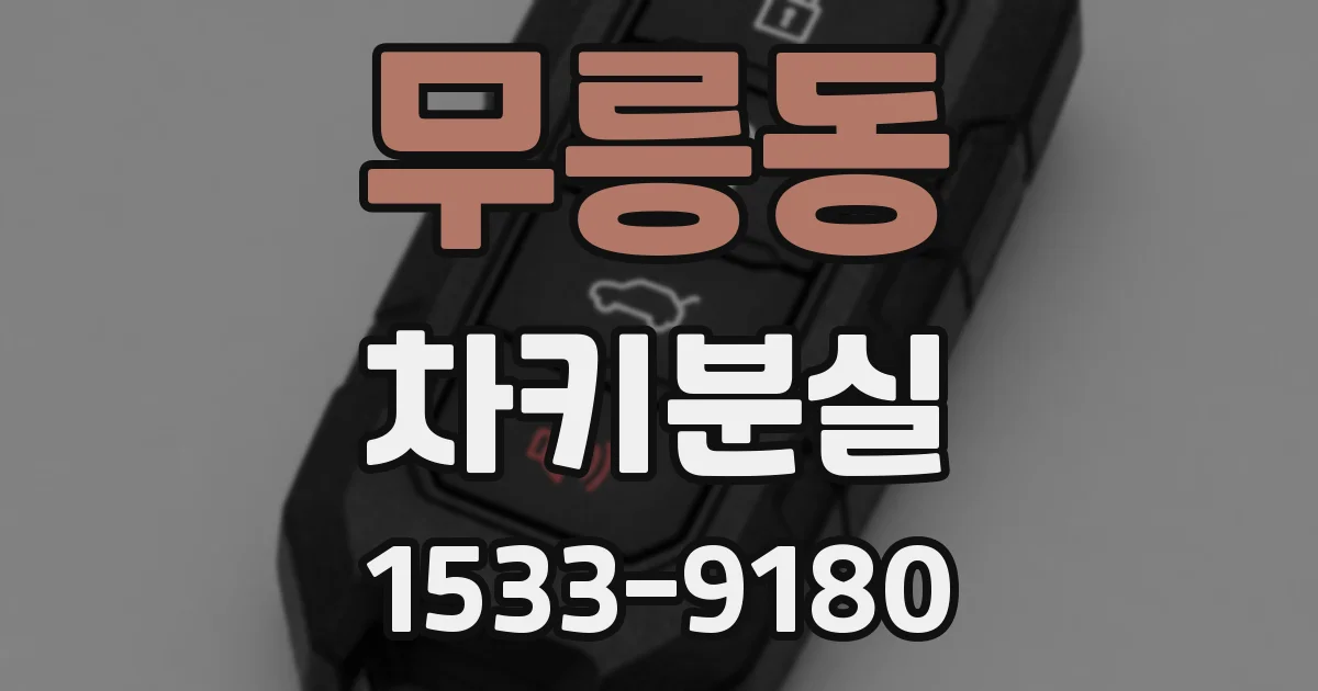 무릉동 차키분실