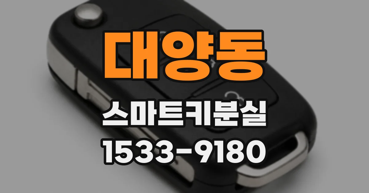 대양동 스마트키분실
