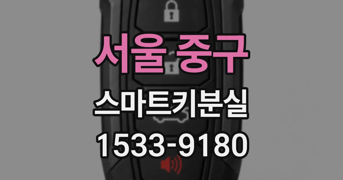 서울 중구 스마트키분실