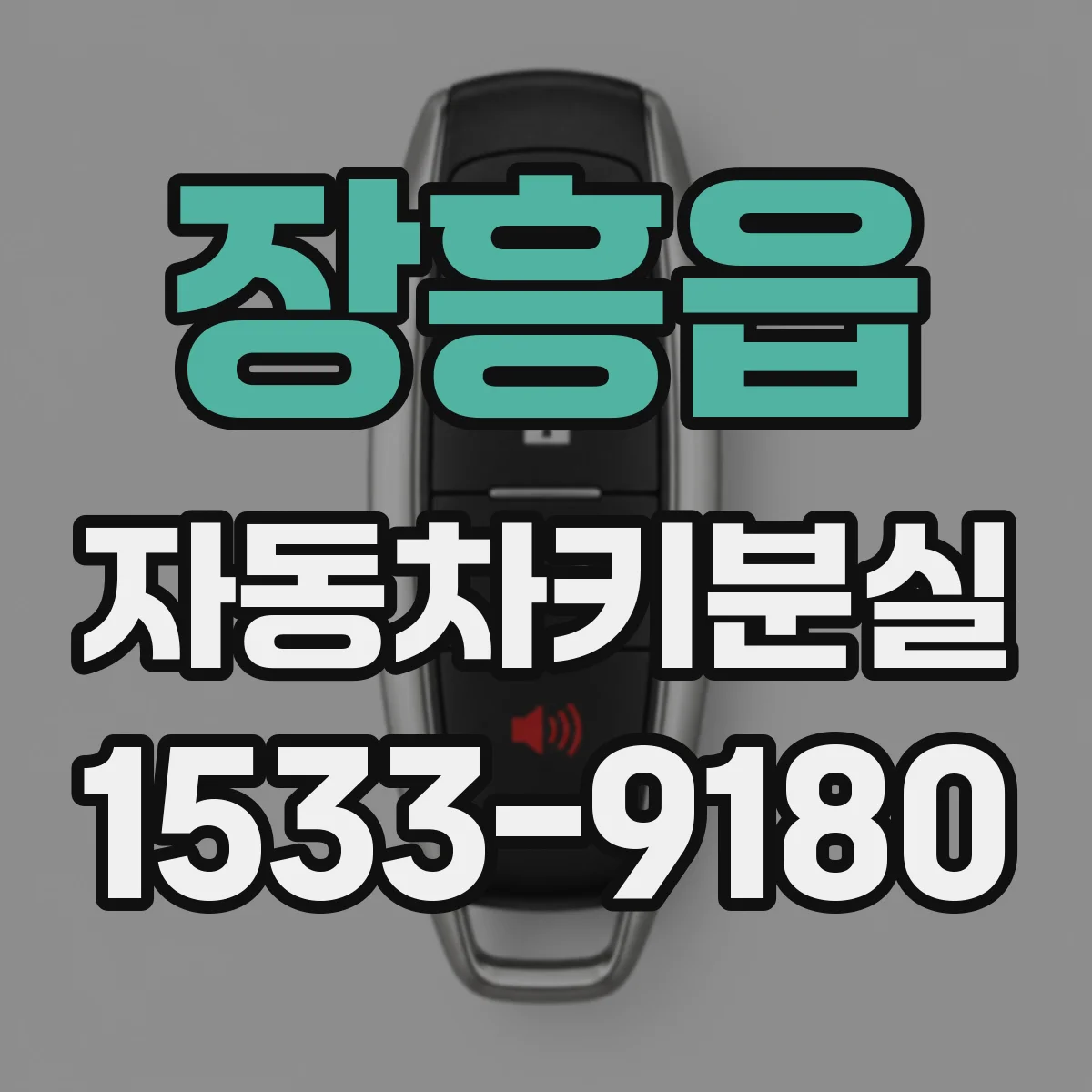 장흥읍 자동차키분실