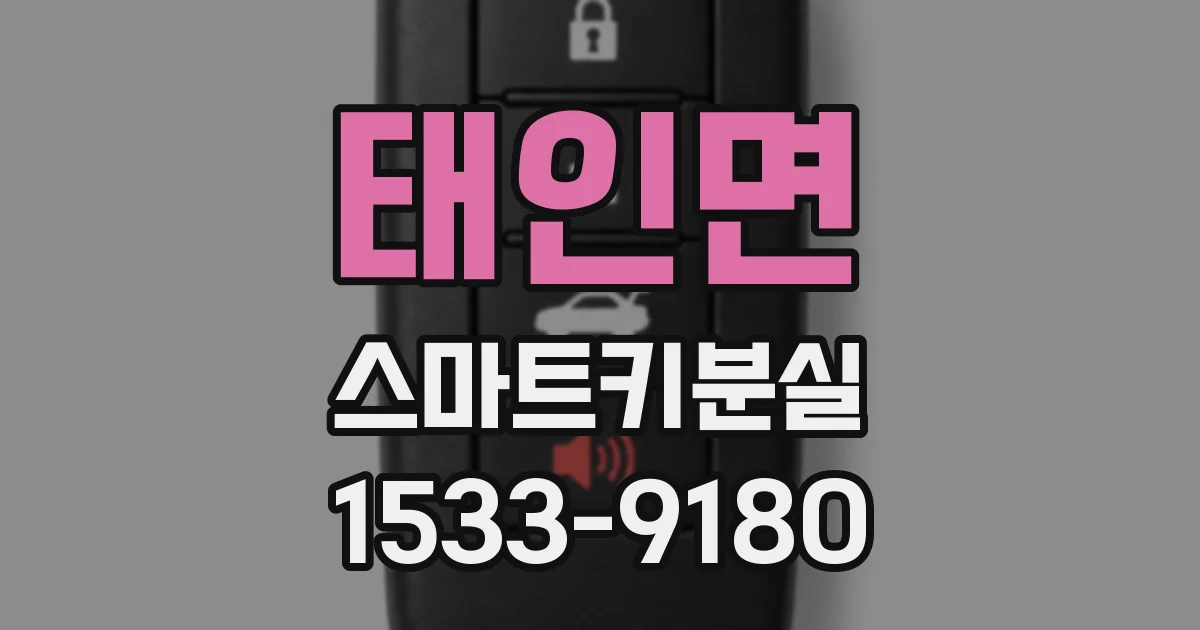 태인면 스마트키분실