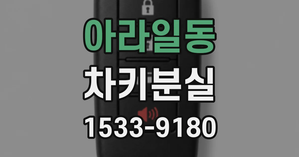 아라일동 차키분실