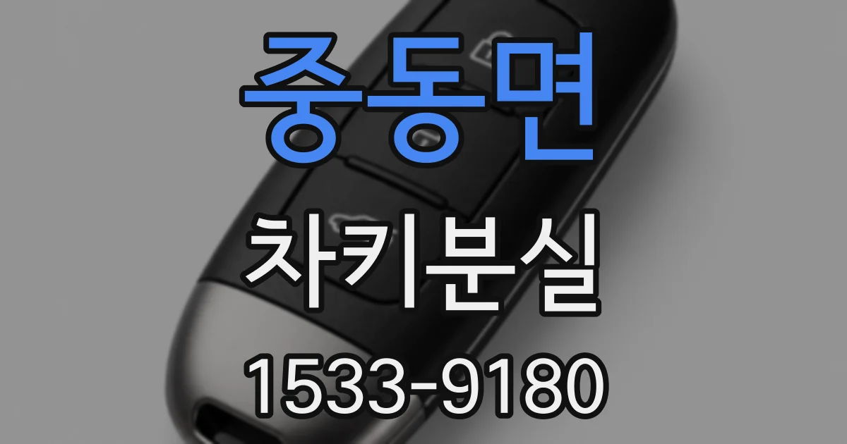 중동면 차키분실
