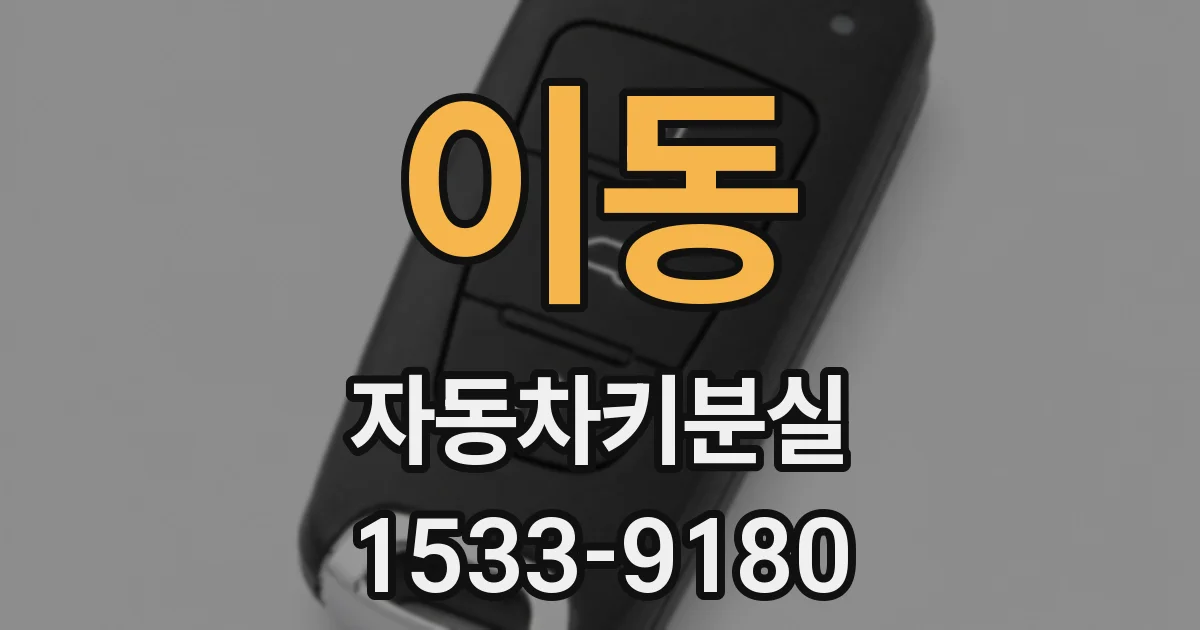 이동 자동차키분실