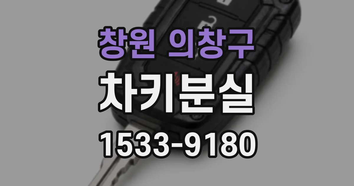 창원 의창구 차키분실