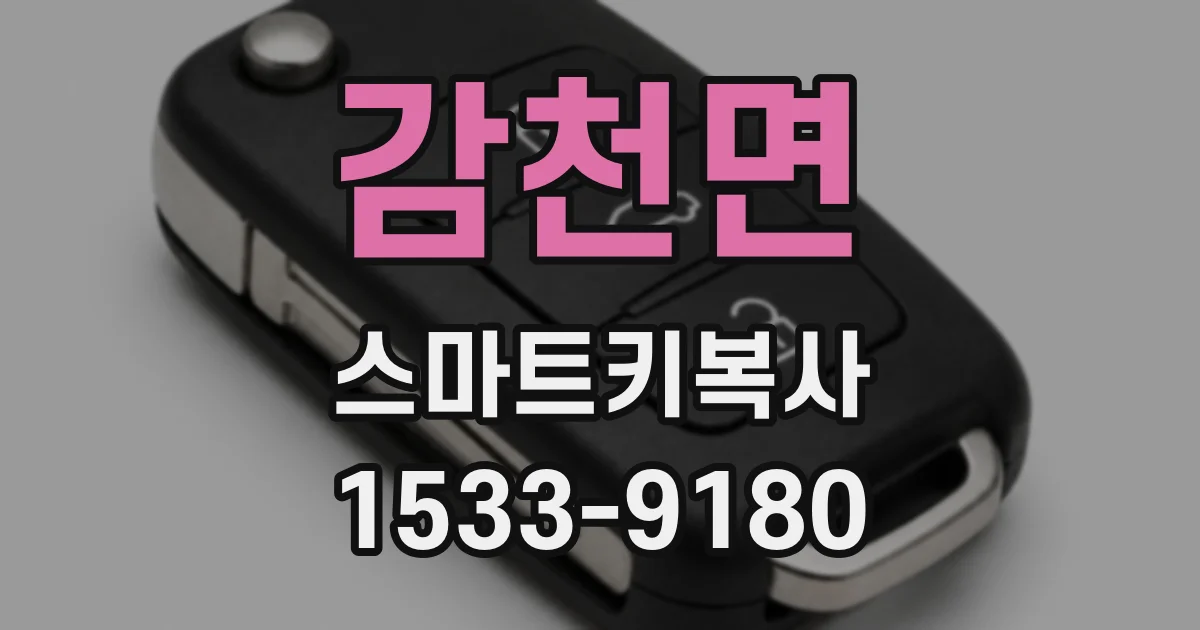 감천면 스마트키복사