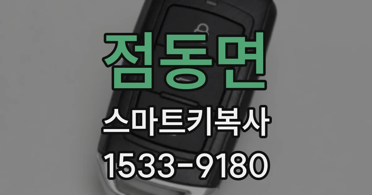 점동면 스마트키복사