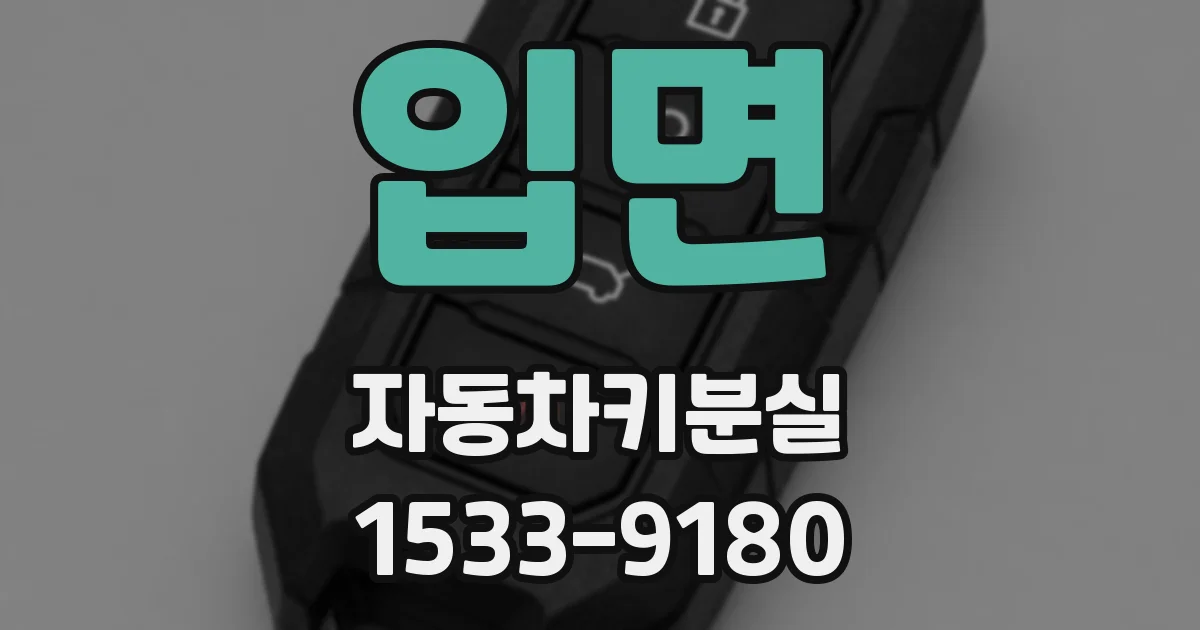 입면 자동차키분실