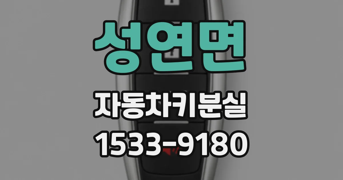 성연면 자동차키분실