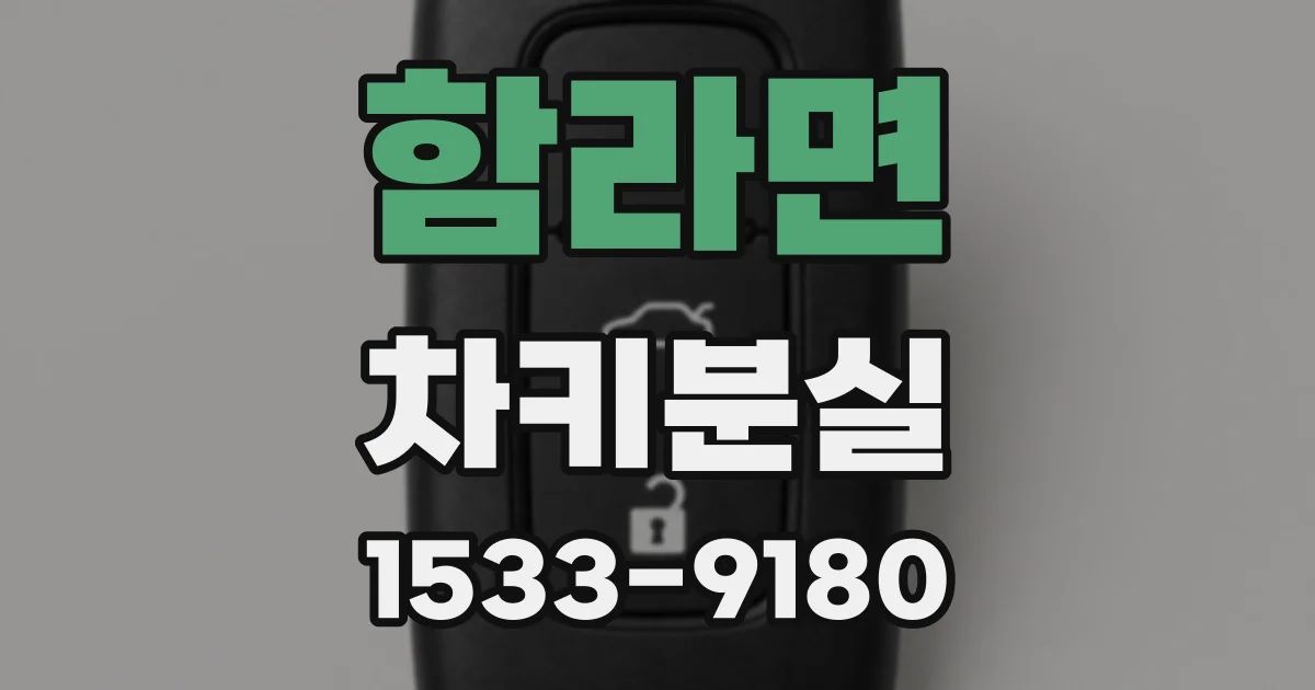 함라면 차키분실