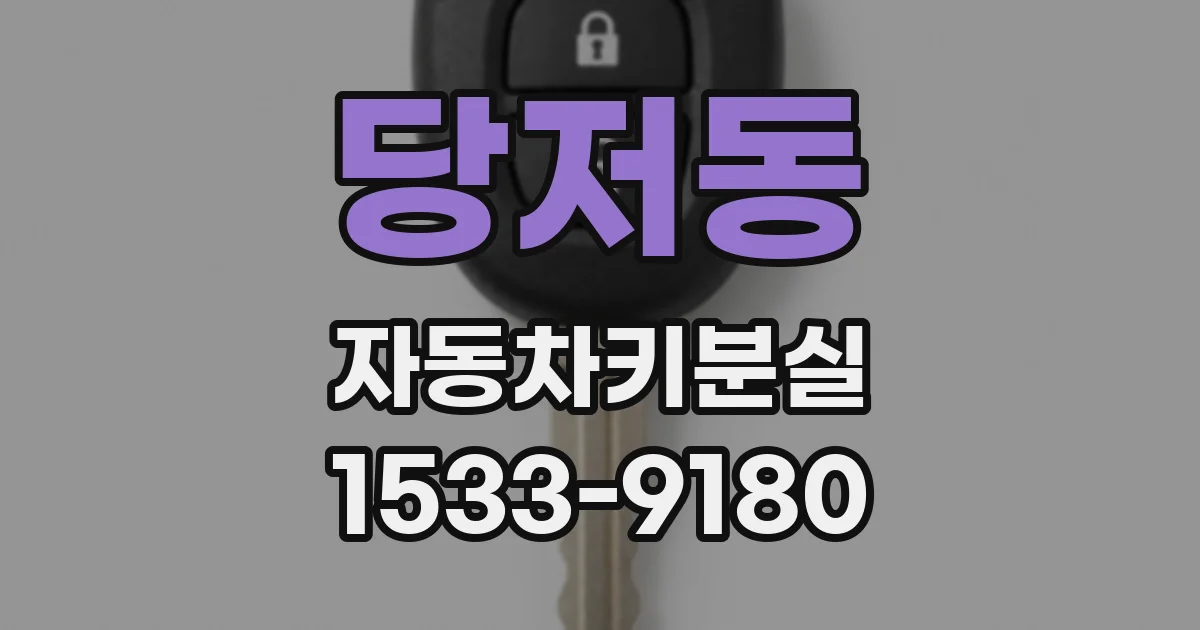 당저동 자동차키분실