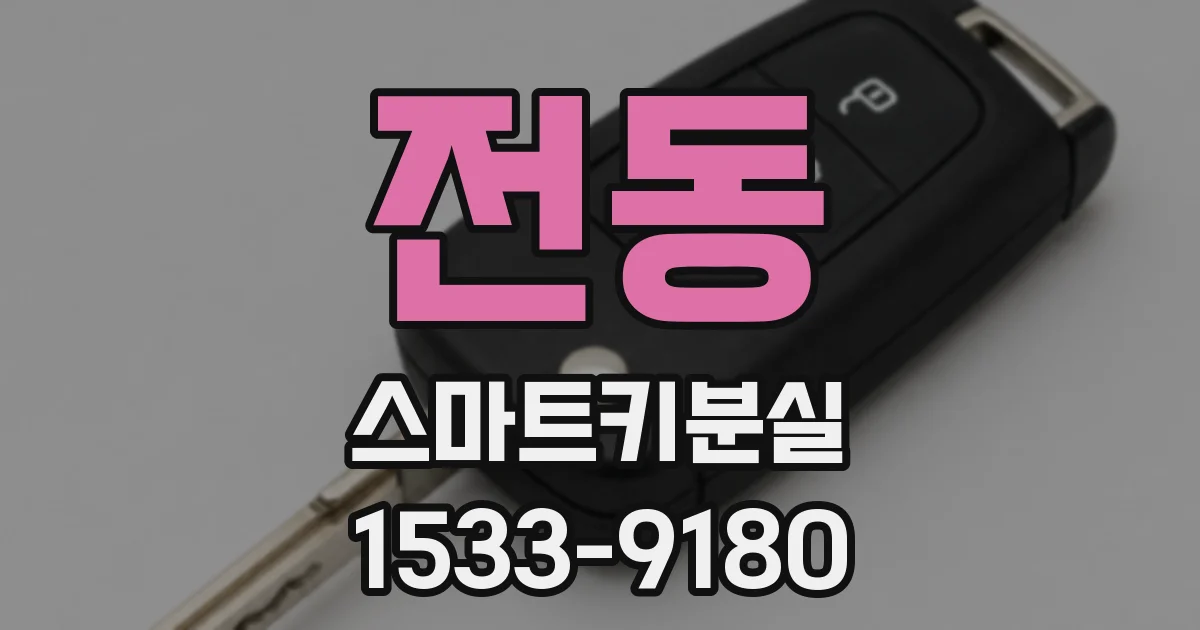 전동 스마트키분실