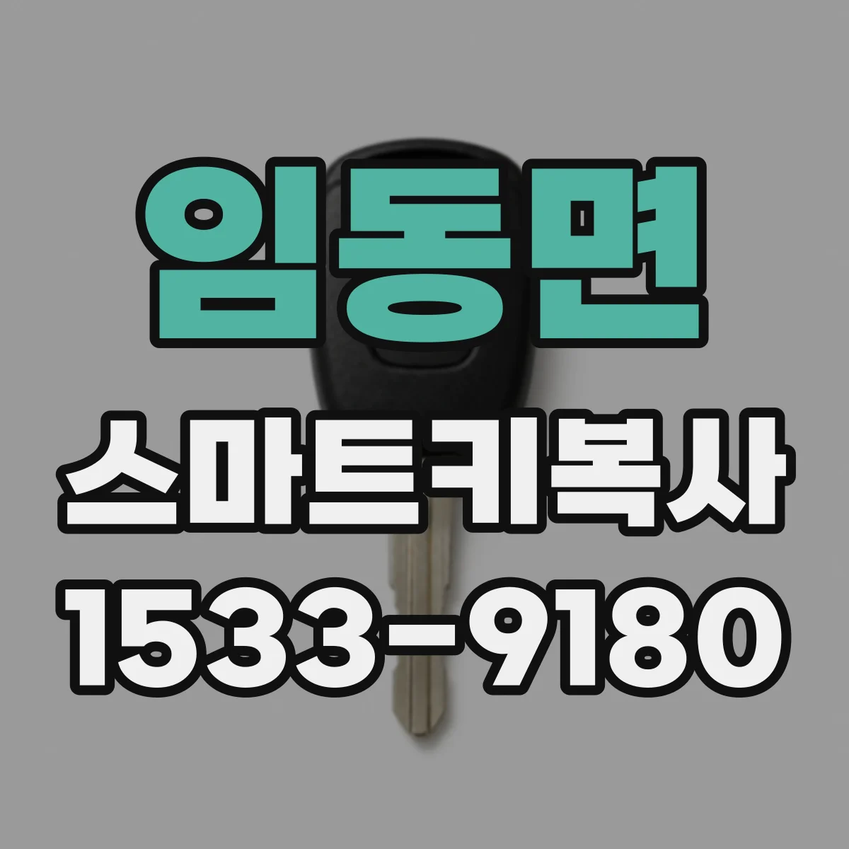 임동면 스마트키복사