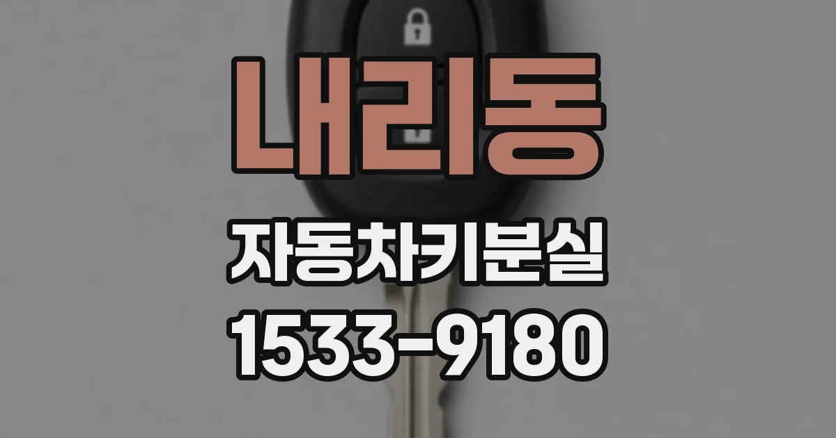 내리동 자동차키분실