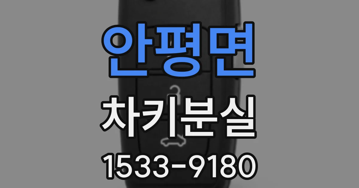 안평면 차키분실