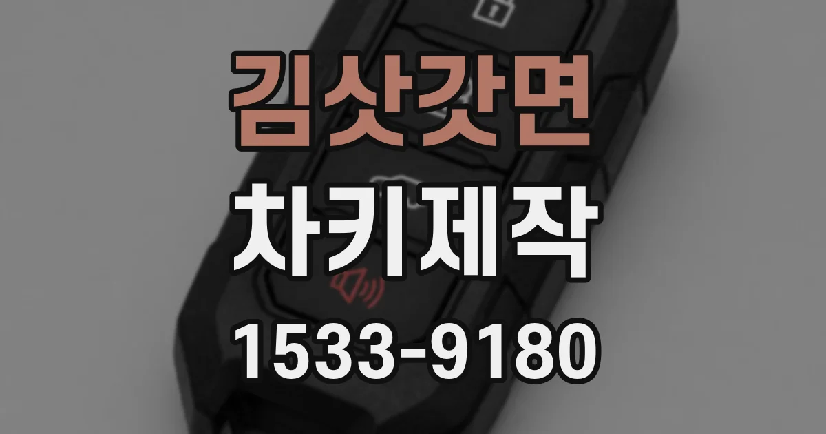 김삿갓면 차키제작