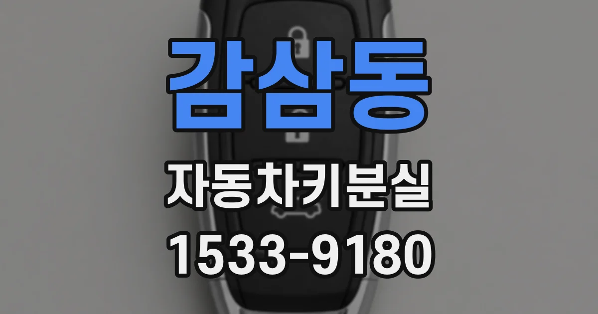 감삼동 자동차키분실