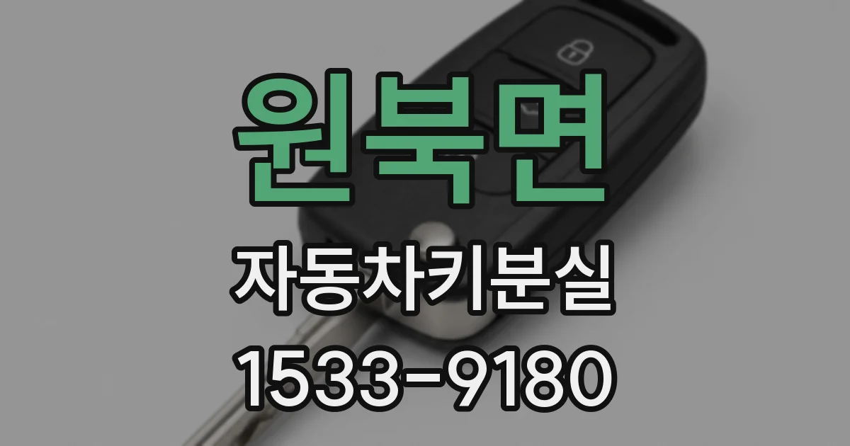 원북면 자동차키분실