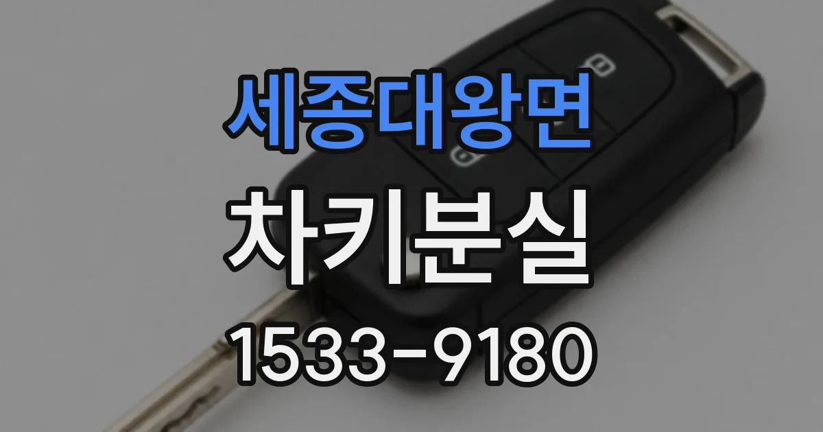 세종대왕면 차키분실